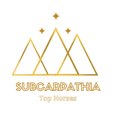 SUPCARPATHIA TOP HORSES 2020